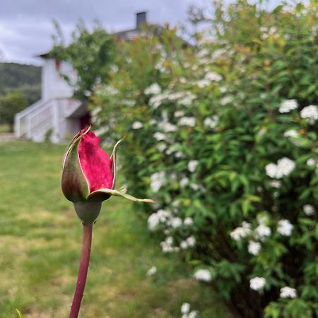 A Casina Casa Rural En Galicia Ourense Exterior foto