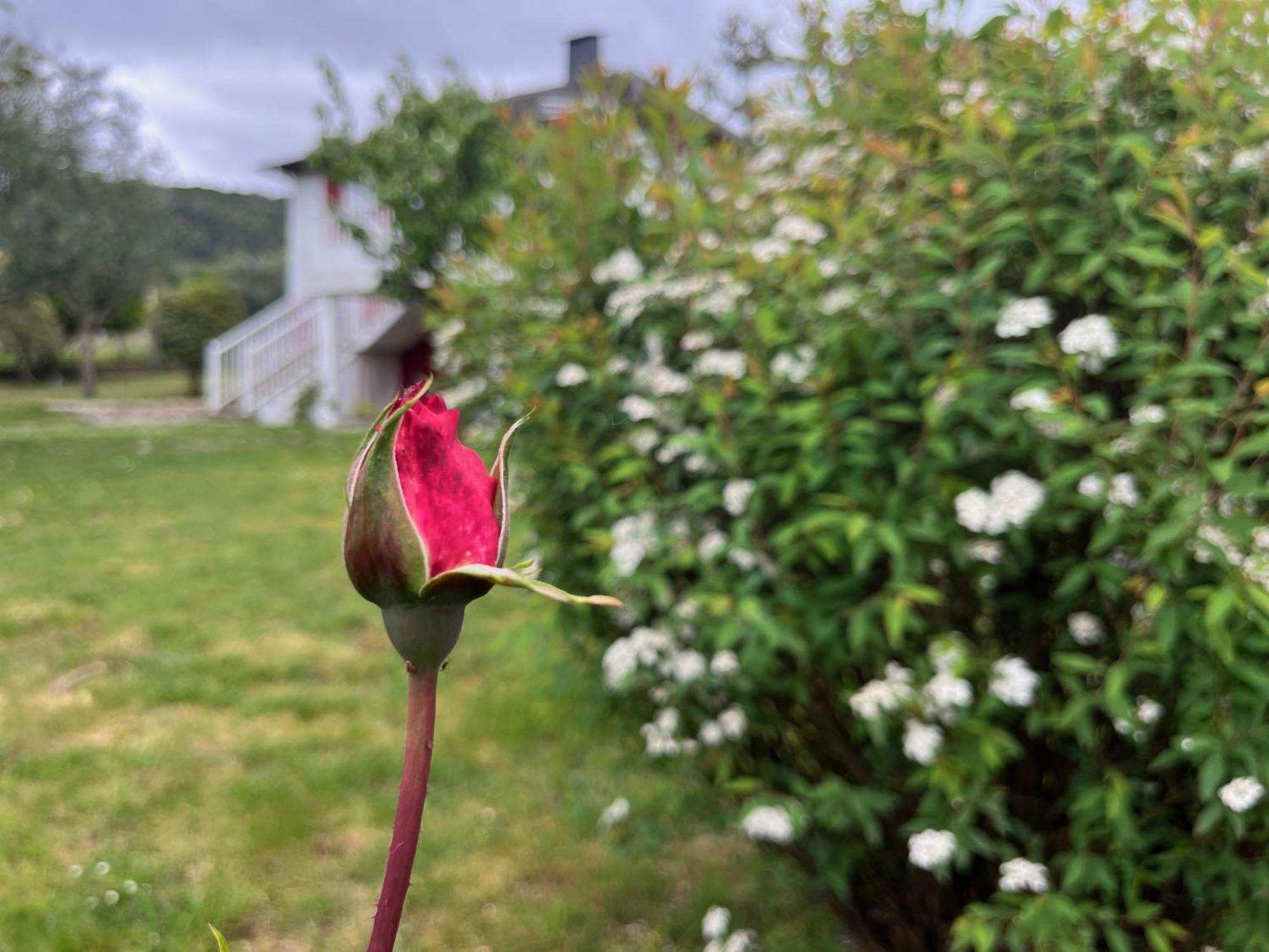 A Casina Casa Rural En Galicia Ourense Exterior foto